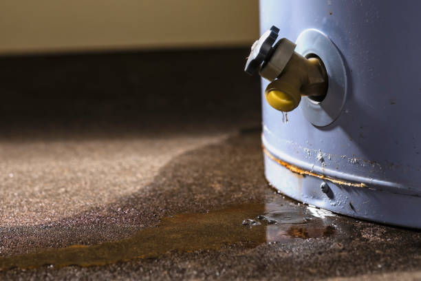 Best Residential water damage restoration  in Union, MS
