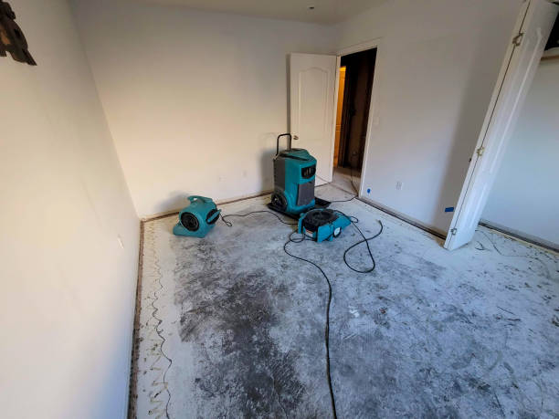 Best Local water damage restoration  in Union, MS