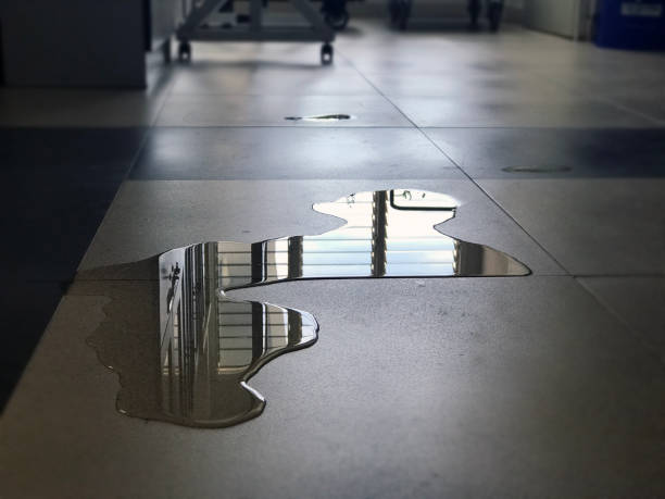 Best Professional water damage repair  in Union, MS