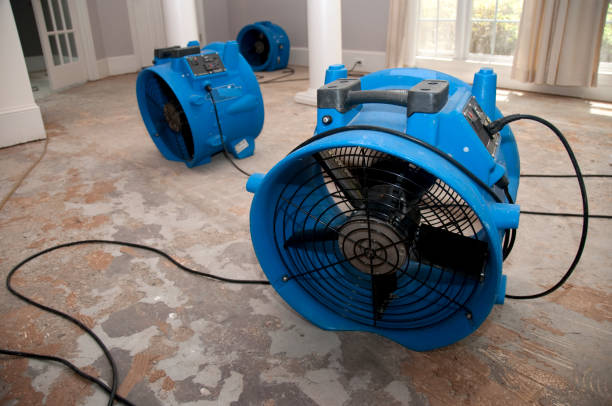 Water damage restoration insurance claims in MS