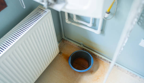 Best Flood restoration services  in Union, MS