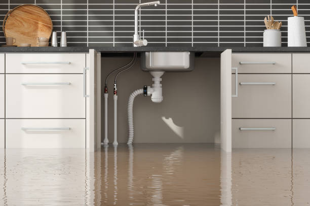 Best Basement water damage restoration  in Union, MS