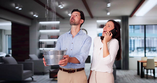 Best Carpet water damage restoration  in Union, MS