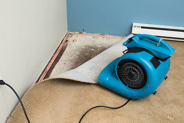 Best Water damage contractors near me  in Union, MS